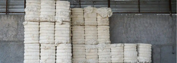Better Cotton lanza una plataforma para asegurar la trazabilidad de su algodón